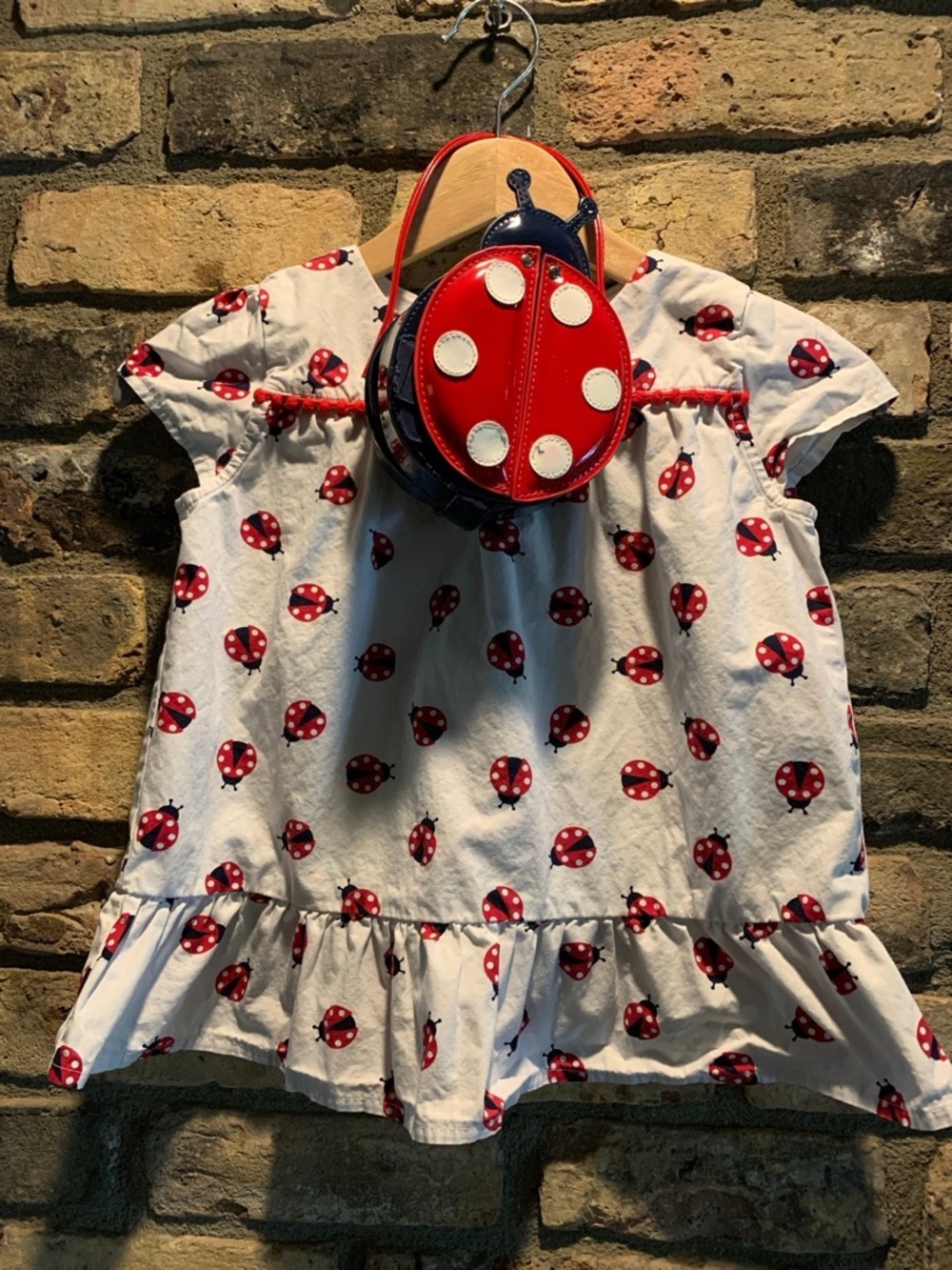 Girls Gymboree Ladybug shirt and Ladybug Purse Set size 8